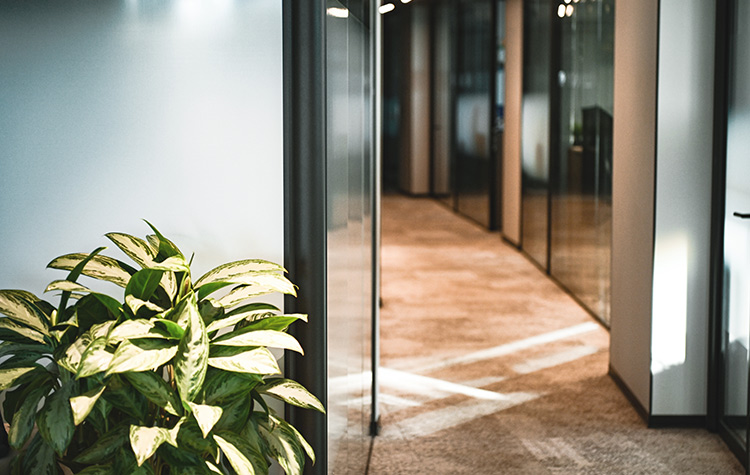 Kontorgang med tæppe og åben, tilgængelig glasdør