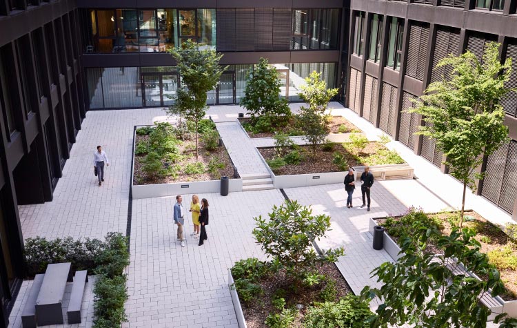 Employees are standing in the courtyard chatting